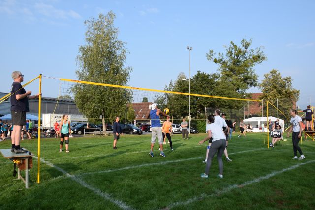 Bild (65)
